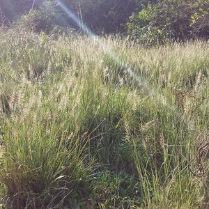 Meet your Posher, Jun